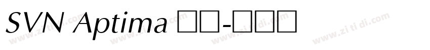 SVN Aptima 常规字体转换